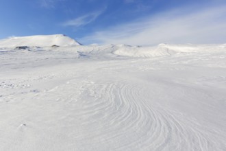 Desolate windswept snow covered Arctic landscape at Mohnbukta, bay at the western shore of