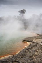 The champagne pool in the Waiotapu geothermal area (Wai-O-Tapu) . Waiotapu, Waikato, North Island,