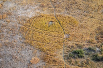 Paths, trails in the countryside, animal trails Aerial view of the Okavango Delta, near Maun,