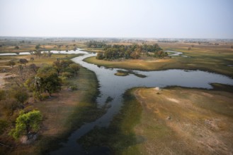 Wetland, landscape, aerial view of the Okavango Delta, near Maun, Okavango Delta, Botswana