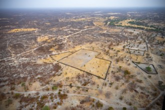 Settlement, simple house and fence, dry savanna landscape, near Maun, aerial view, Okavango Delta,