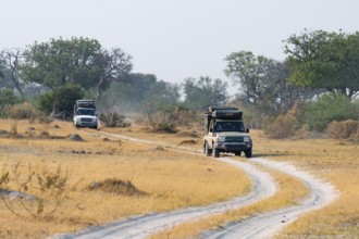 Off-road car, safari car driving on dust road, Third Bridge, Okavango Delta, Moremi Game Reserve,
