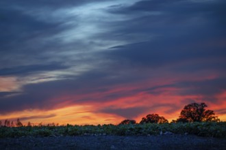 Red blue evening sky, Othenstorf, Mecklenburg-Western Pomerania, Germany