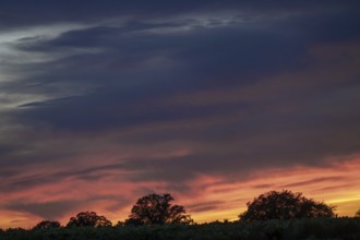 Red evening sky, Othenstorf, Mecklenburg-Western Pomerania, Germany