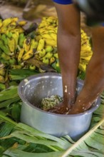 Local man, production of banana juice and banana schnapps, banana plantation, near Fort Portal,