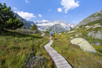 Female mountaineer on wooden plank path through mountain moor, in front of picturesque mountain