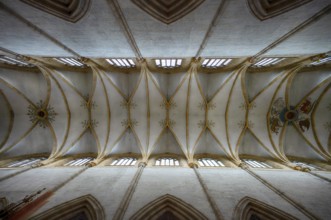 Interior photo, vaulted ceiling, church ceiling, central nave, interior view, Cathedral of Our Lady