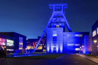 International Children's Rights Day, in addition buildings around the world are illuminated blue,