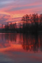 Intense red sunset over a quiet river with trees, Peenetal nature park Park, Mecklenburg-Western