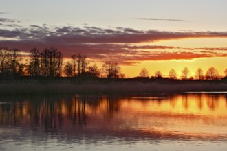 Peaceful sunset with orange sky and reflection of trees in water, Peenetal nature park Park,