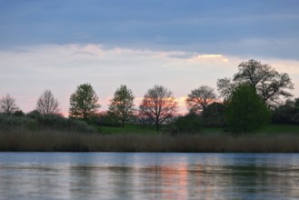 Evening sky over a river with trees and reflecting water, light cloud cover, Peenetal nature park