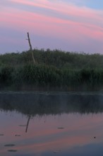 Pink and blue sky reflected peacefully in the water, Peenetal nature park Park, Mecklenburg-Western