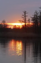 Sunset over a quiet river with silhouette of trees, Peenetal nature park Park, Mecklenburg-Western