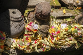 Sacrificial basket (canang) at Tirta Empul hot springs, Bali, Indonesia