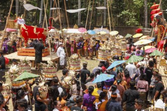 Preparing for a corpse cremation, (Ngaben), Ubud, Bali, Indonesia