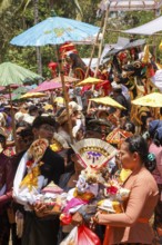 Preparing for a corpse cremation, (Ngaben), Ubud, Bali, Indonesia