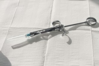 A carpal syringe, reusable, for use in dentistry, for the administration of anesthetic, lies on the