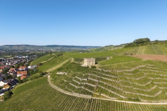 Vineyards with a stone house, on the edge of a village, in a summer landscape, Y-Burg, Stetten im