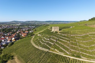 Vineyard landscape with a stone house, bordering a village and hills, Y-Burg, Stetten im Remstal,