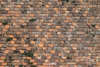 Clay tile roof, Herberstein Castle, Herberstein, Styria, Austria