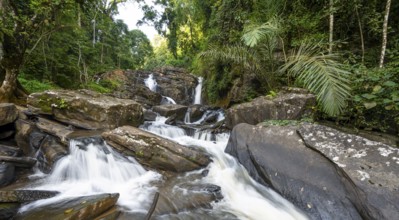 Derema Waterfall flows through thick vegetation, tropical rainforest in Amani Nature Forest
