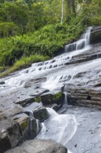 Derema Waterfall flows through thick vegetation, tropical rainforest in Amani Nature Forest