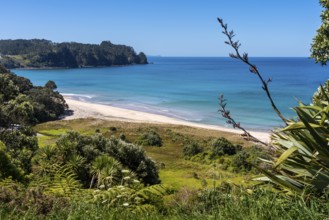 Landscape with sea and sandy beach in New Zealand. View of Hot Water Beach. Hot Water Beach,