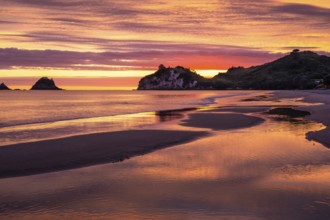 Landscape with sea and sandy beach in New Zealand. Hahei Beach with Te Pare Point in the morning at