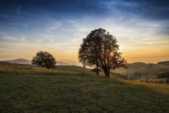 Weather forecast in autumn, sunset, Schauinsland, Freiburg im Breisgau, Black Forest,