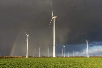 Königshovener Höhe onshore wind farm, on the A44 motorway near Bedburg, in front of the Jackerath