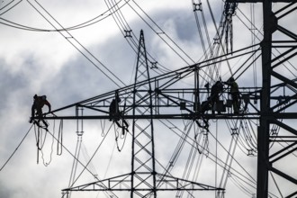 Work on a 380 kV high-voltage overhead line, new construction, along the A57 motorway, near