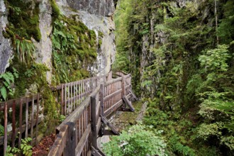 Wooden walkway in the Durnand Gorge, Les Valettes, Canton of Valais, Switzerland