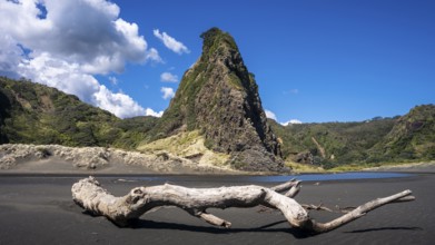 Landscape in New Zealand with sandy beach. Karekare Beach and The Watchman Rock. Karekare,