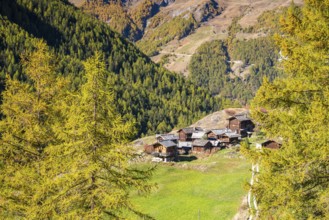 Traditional wooden huts on Alpe near Evolene, Val d'Herens, Canton of Valais, Switzerland