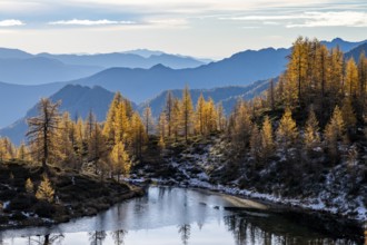 Laghetto dei Saléi mountain lake with autumnal larches (Larix), Onsernone Valley, Canton of Tessin,