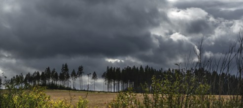 Rain clouds (Nimbostratus) over the Bavarian Forest, Upper Franconia, Bavaria, Germany