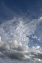 Rain clouds (Nimbostratus), Bavaria, Germany
