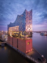 Aerial view of the Elbe Philharmonic Hall with reflections on the façade in evening light above the