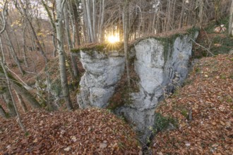 Low sun illuminates the rocks and caves of hell holes in the autumnal landscape of Dettingen an der