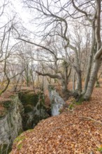 Low sun illuminates the rocks and caves of hell holes in the autumnal landscape of Dettingen an der