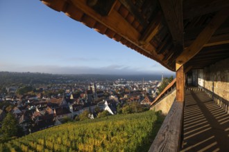 View of the old town from Esslingen Castle in the golden morning light Esslingen Baden-Württemberg