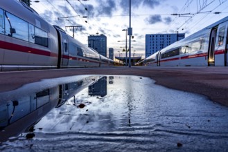 ICE trains, in Essen main station, on the platform, North Rhine-Westphalia, Germany