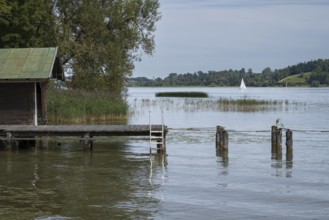 Hut and jetty on the banks of Tegernsee, Bad Wiessee, Upper Bavaria, Bavaria, Germany