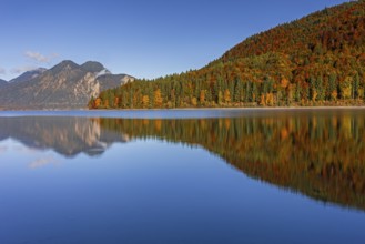 Mountain lake, mountains, morning light, reflection, autumn, autumn color, forest, shore,