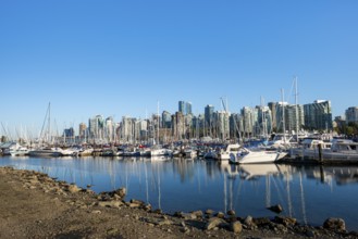Skyscrapers yachts and sailboats in the marina, Vancouver skyline reflected in the ocean, Coal