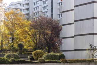 Residential complex in autumn. Colourful shrubs contrast with the dreary façade of the buildings.