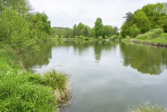 Landscape of a little lake on a cloudy day in spring, Upper Palatinate, Bavaria, Germany