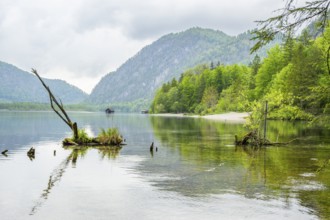 Landscape of Lake Almsee on a rainy day in spring, Salzkammergut, Austria