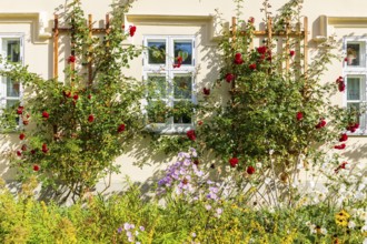 Schlossvorwerk Muskau in Muskauer Park, UNESCO World Heritage Site, Bad Muskau, Upper Lusatia,