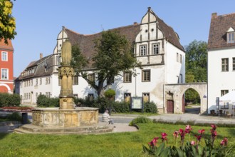 Cathedral Square with historic buildings and Ekkehard fountain, Naumburg (Saale), Saxony-Anhalt,